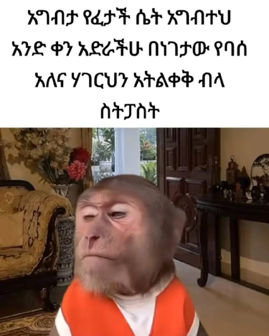 አግብታ የፈታች ሴት አግብተህ አንድ ቀን አድራችሁ በነገታው የባሰ አለና ሃገርህን አትልቀቅ ብላ RUNS CFE et TU RIS PY REGAL NFO P10 AAT YICUY ATAPP NA